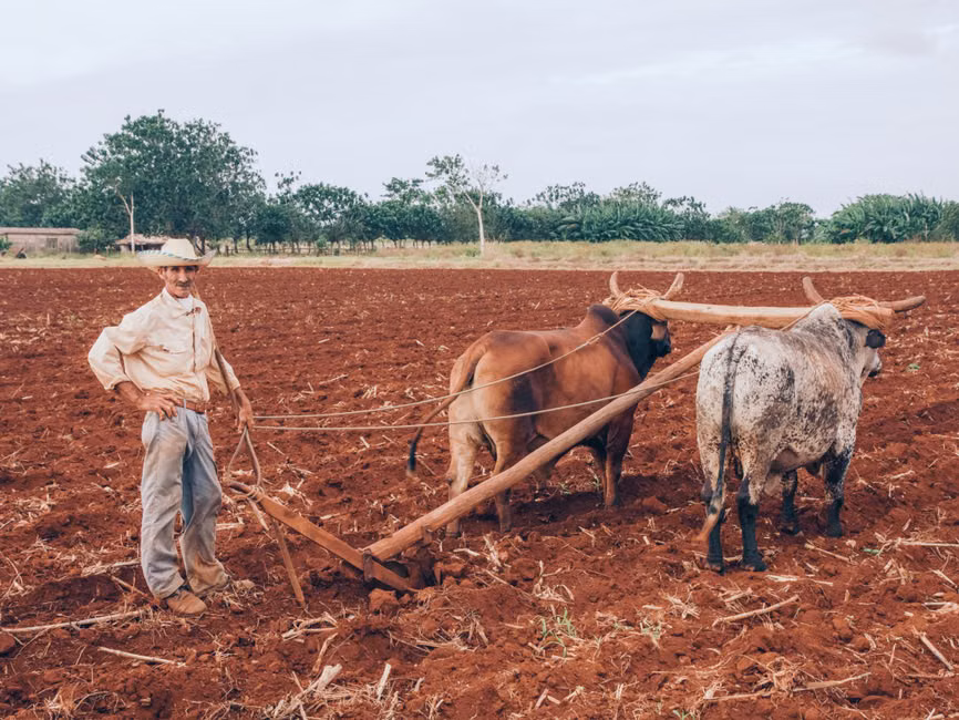 Irrigação
